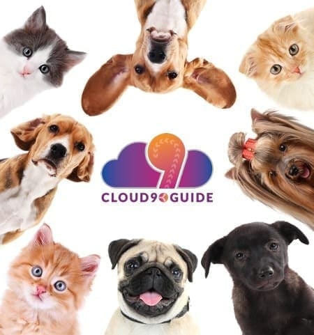 About Animal Communication and EFT Tapping Cloud 9 Guide