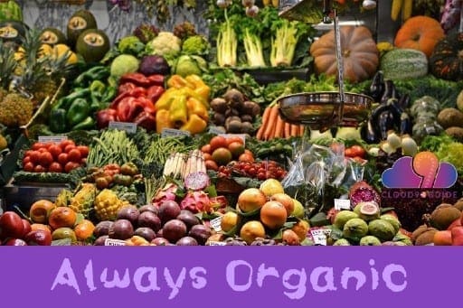 Healing Foods - That Help You Heal - Cloud 9 Guide