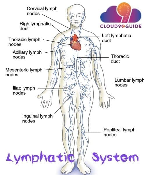 Manual Lymphatic Drainage Massage & Diabetes Benefits - Cloud 9 Guide
