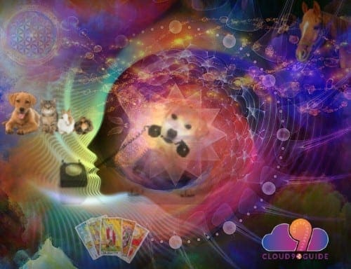 Animal Communication - Expert Animal Communicator - Cloud 9 Guide