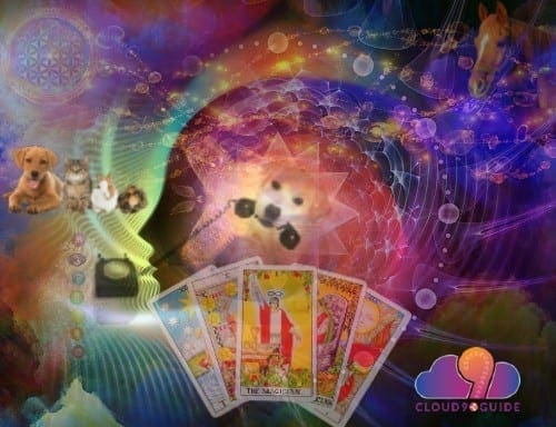 Pet Readings - Pet Medium Readings - Cloud 9 Guide