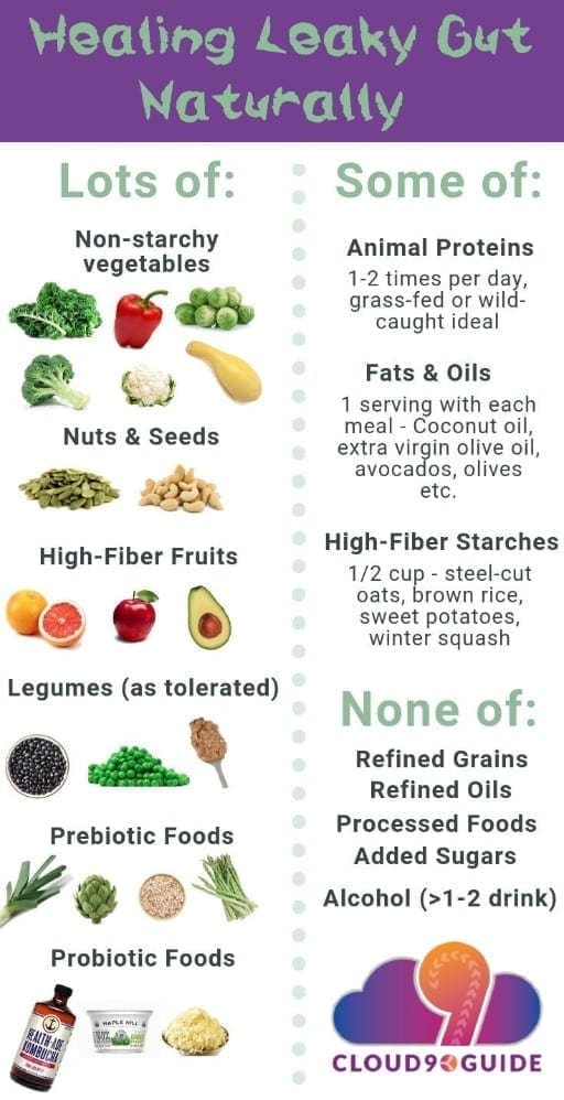 Healing Leaky Gut Naturally & How to - Cloud 9 Guide
