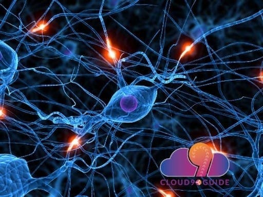Healing Nerve Damage & Peripheral Neuropathy - Cloud 9 Guide